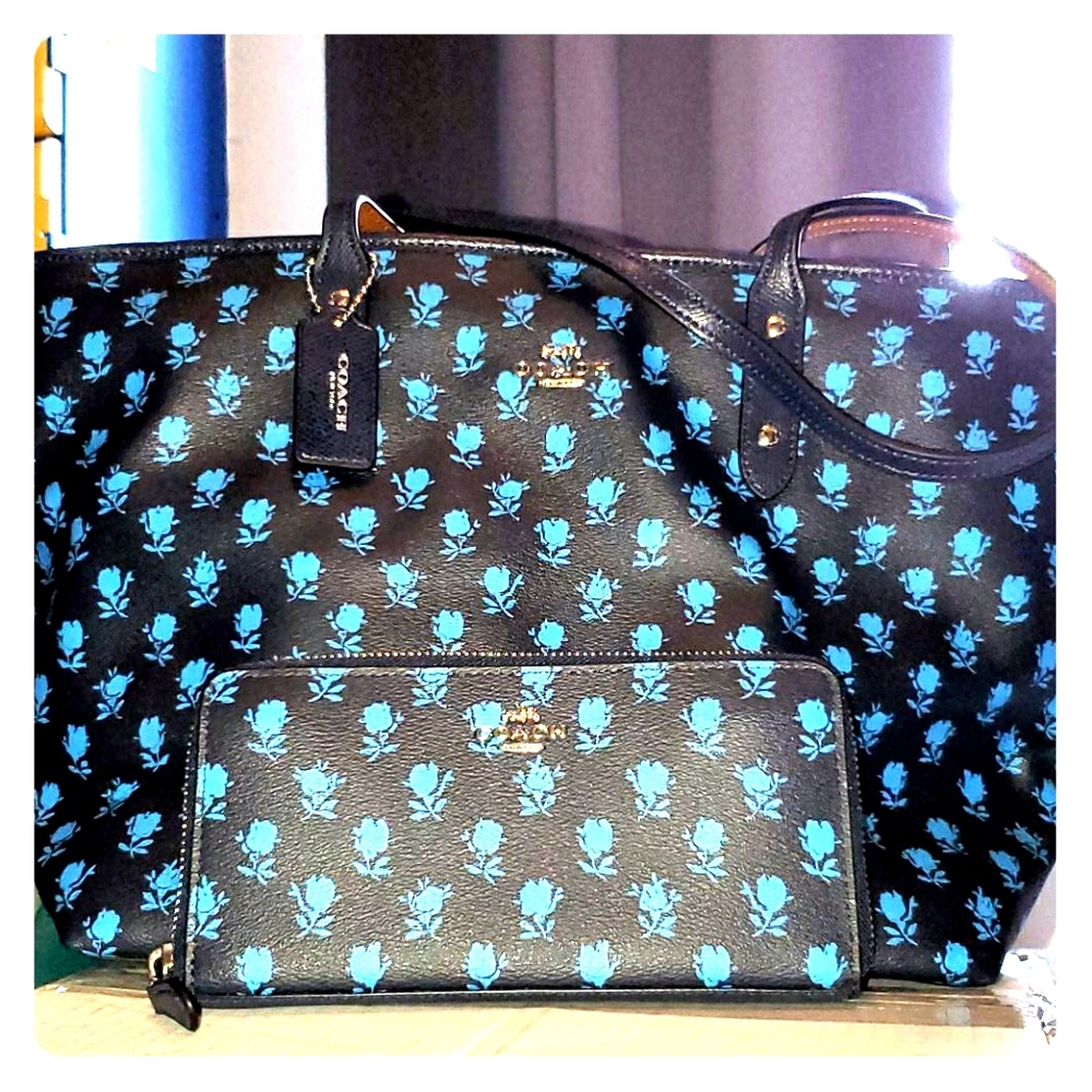 Coach Hobo purse and matching wallet set